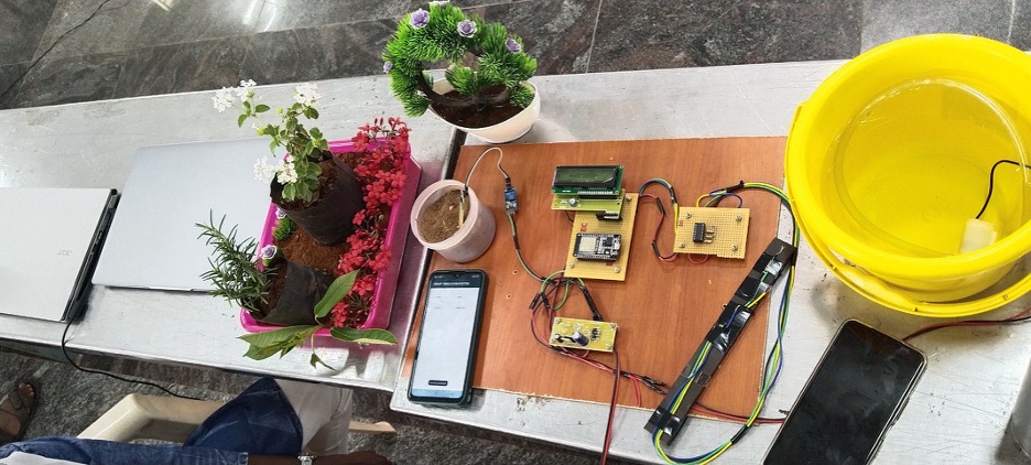 Automated plant watering system and plants on a table.